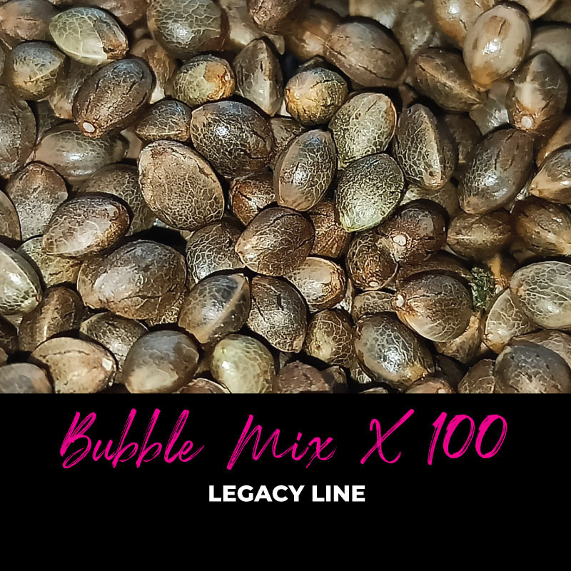 Bubble Mix x100, photo macro