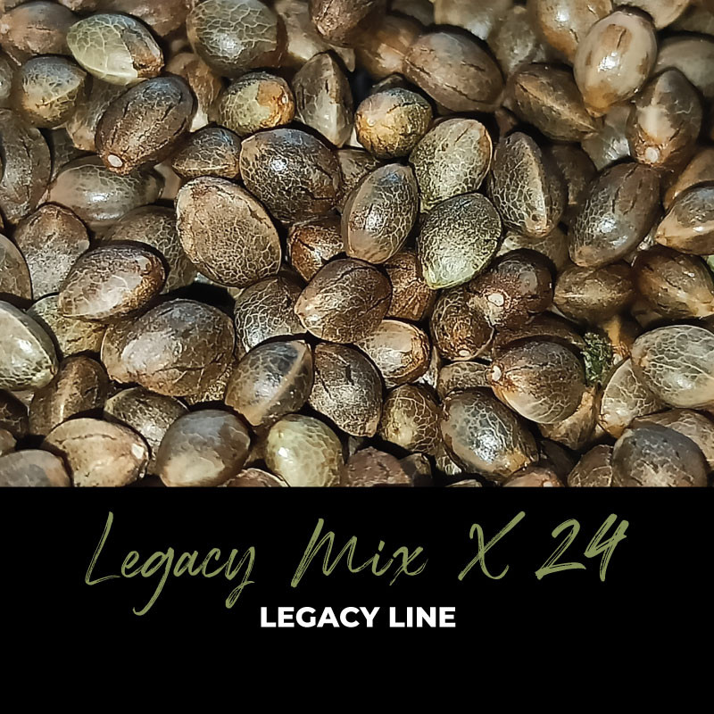 Legacy Mix x24, photo macro