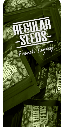 Packs de graines Regular Seed's du Club