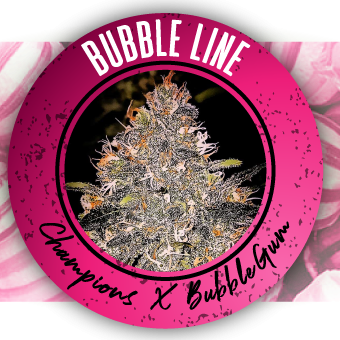 Bubble Line