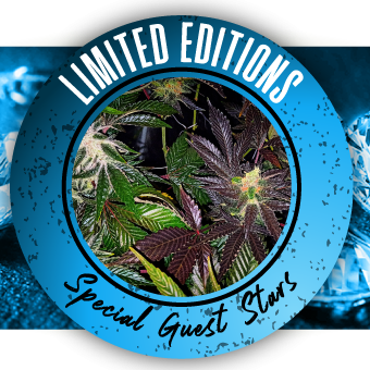 Limited Editions, Special Guest Stars
