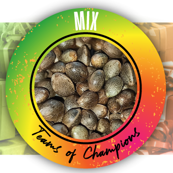 Packs Mix