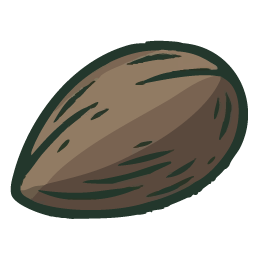 Graine Regular Seed's
